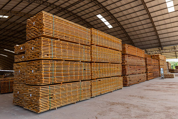 istock Stacked sawn timber in a sawmill 2238874934