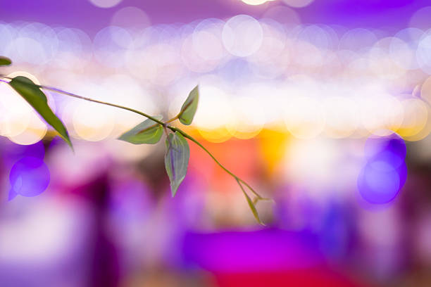 Indian traditional wedding ceremony interiors and decorations