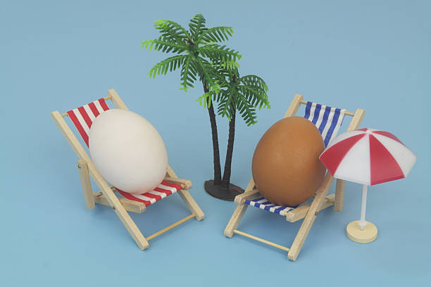 istock Duck and chicken eggs in blue and red beach chairs with umbrella and palm tree on blue background. 2238885664