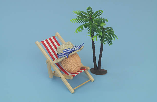 istock Human brain in beach chair relaxing under palm tree. 2238885717