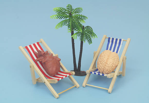 istock Human brain and heart in beach chair relaxing under palm tree. 2238885733