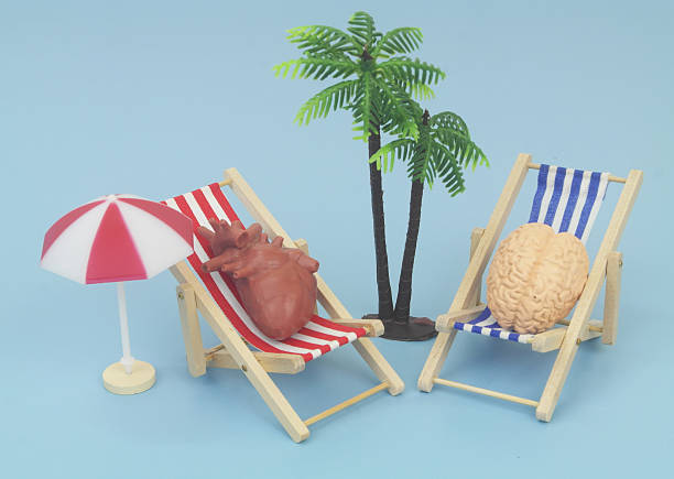 istock Human brain and heart in beach chair relaxing under palm tree. 2238885767