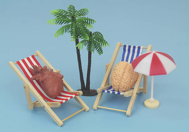 istock Human brain and heart in beach chair relaxing under palm tree. 2238885850
