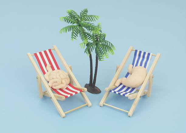 istock Human stomach and intestine relaxing in beach chairs.. 2238886067