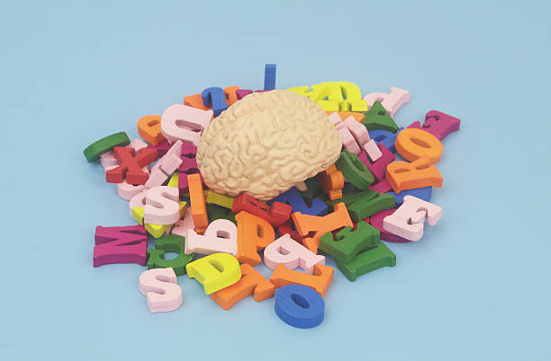 istock Human brain on many letters on blue background. 2238886105