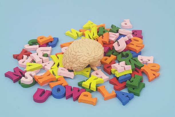 istock Human brain on many letters on blue background. 2238886128