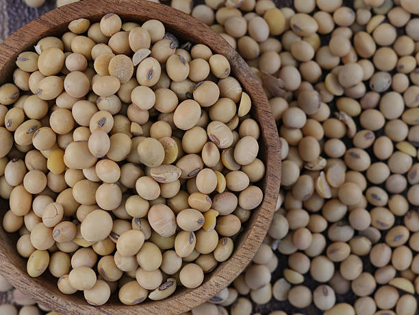 istock SoyBeans seeds in wooden bowl 2238888520
