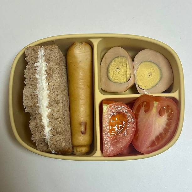 istock Dosirak bento box filled with steamed rice, assorted side dishes, vegetables, and protein like meat or fish, neatly arranged to create a balanced, colorful, and appetizing traditional meal 2238900359