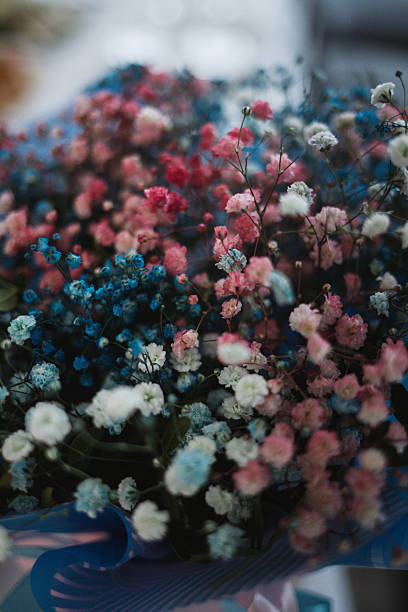 A close-up capturing the delicate texture and bold, artificially colored blossoms of a unique and striking floral arrangement.