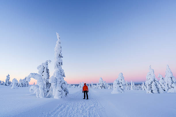 istock Person exploring frozen forest at dusk, Finland 2238904584