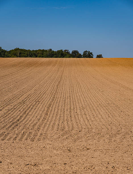 istock Landscape with an empty plowed field at the end of summer 2238905146