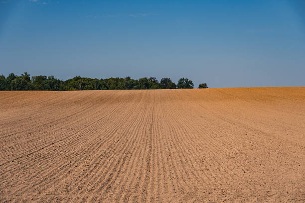 istock Landscape with an empty plowed field at the end of summer 2238905149