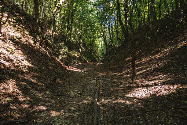 istock A dirt road running through a wild gully in the forest during summer 2238906750