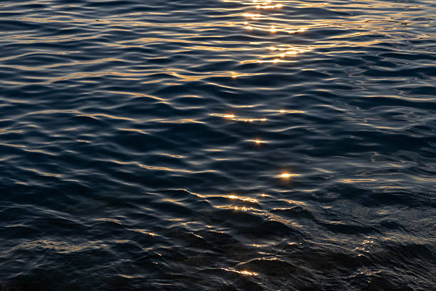 istock Sun reflecting on the evening sea, wavy sea surface. Marine background. Copy space. 2238908901