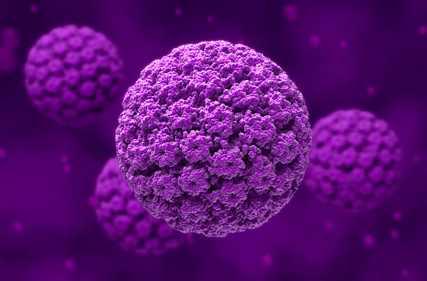 Human papillomavirus (HPV) - closeup view 3d illustration stock photo