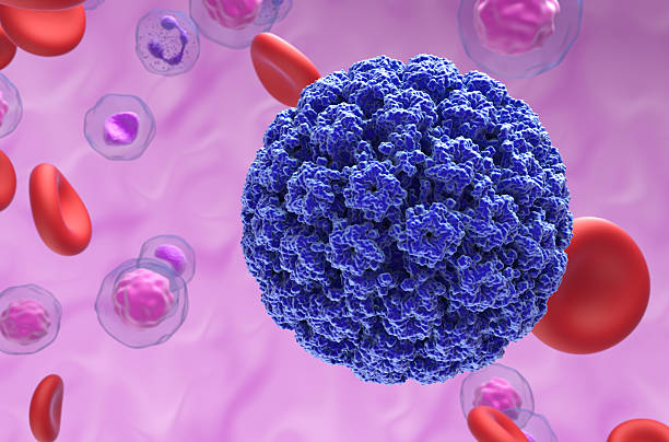 istock Human papillomavirus (HPV) - closeup view 3d illustration 2238911453