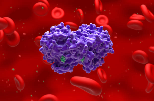 istock Paracetamol bound to COX-2 enzyme - closeup view 3d illustration 2238911706