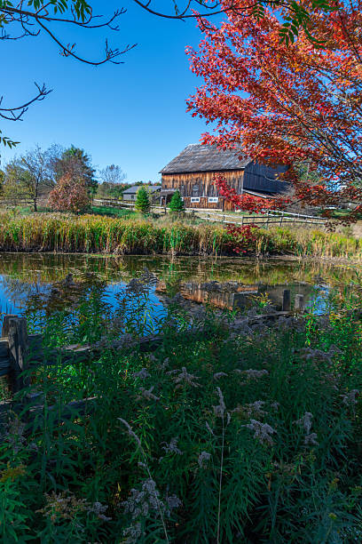 istock Beautiful barn on a farm at fall 2238916789