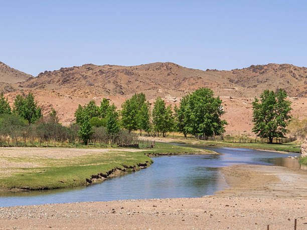 istock Ongi River, Gobi Desert, Mongolia 2238920570