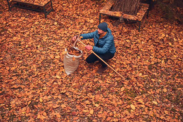 istock Man cleaning garden from fallen autumn leaves. 2238920963