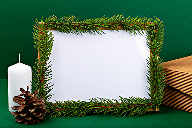 Arrangment of fresh green forest vegetation, weathered branches, needles, bark, top view.