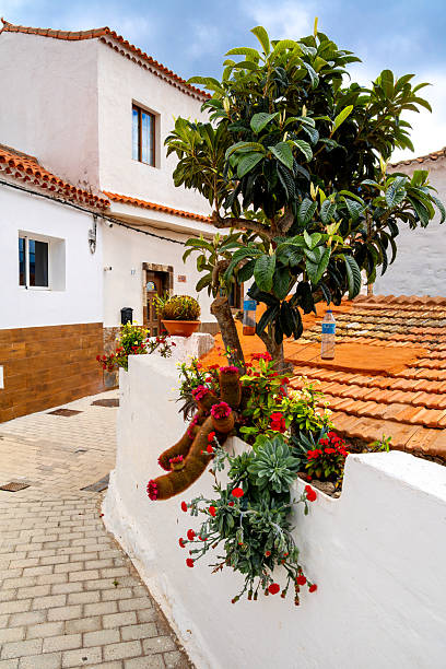istock Fataga, Gran Canaria, traditional Canary architecture with decorative flower boxes 2238923935