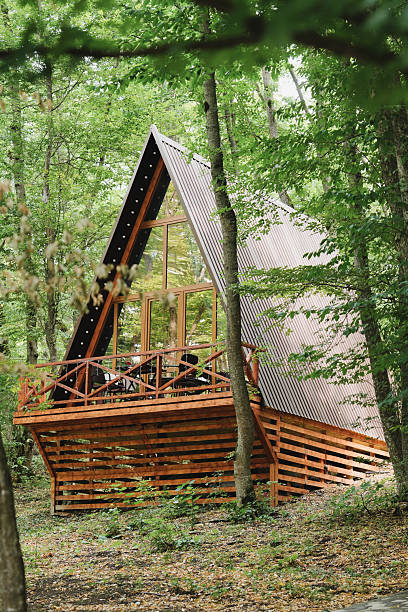 istock A frame wooden Triangle house in the forest 2238934331