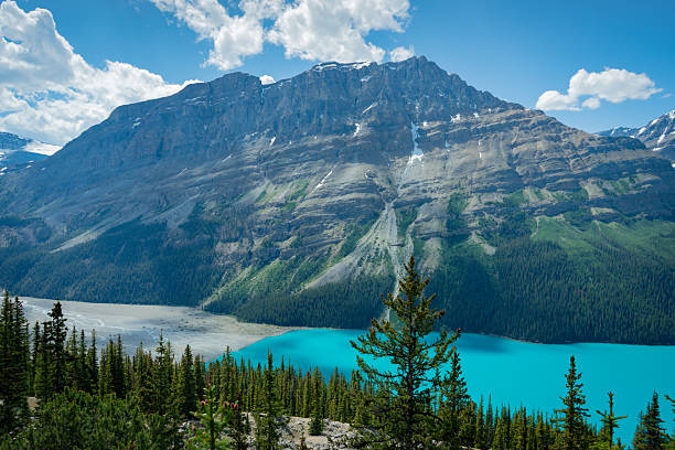 Majestic mountain range overlooking a vibrant turquoise lake and green forest.