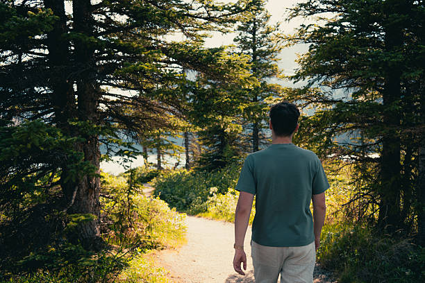 Man walks on a path through a lush green forest on a bright summer day.