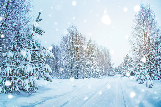 istock Cold evening. Beautiful landscape. Automobile road through a pine winter forest covered with snow trees. 2238938202