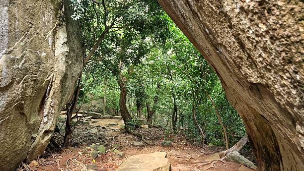 istock old way in rainforest in Mihintale Sri Lanka 2238942221