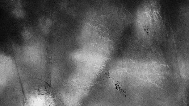 istock Abstract blurred grainy monochrome background, dirty white on dark gray black. 2238944252