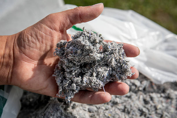 istock Hand holding cellulose insulation material made from recycled paper.  Eco friendly construction, sustainable housing, energy efficiency and green building solutions 2238951120