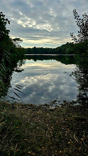 istock Still Dusk at the Lake with Reflecting Clouds 2238954971