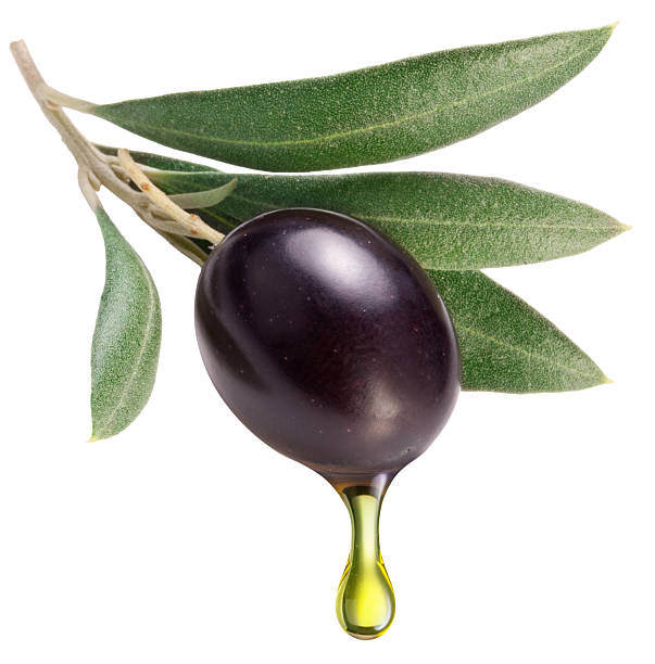 Black olive on olive tree branch with olive oil drop isolated on white background. Clipping path.