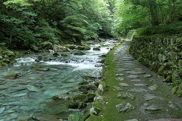 istock The road to Hiryu Falls, Summer (Yasui Valley, Kochi Prefecture) 2238964792