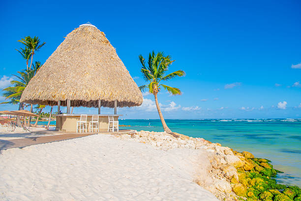 istock Punta Cana, Dominican Republic 2238973758
