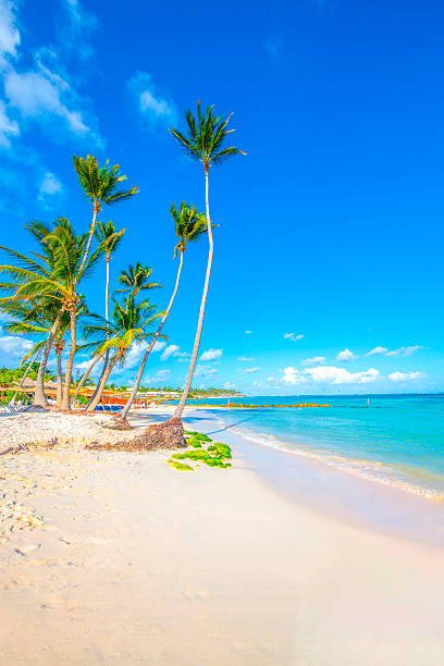 istock Punta Cana, Dominican Republic 2238974093