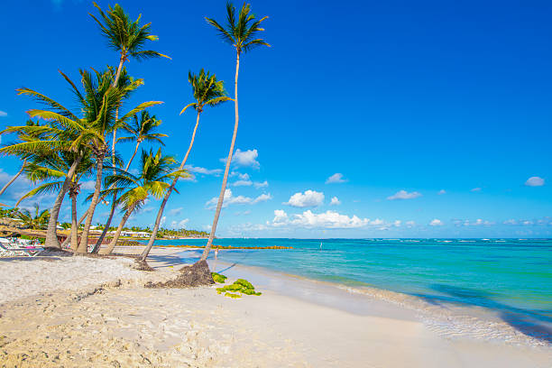 istock Punta Cana, Dominican Republic 2238975014