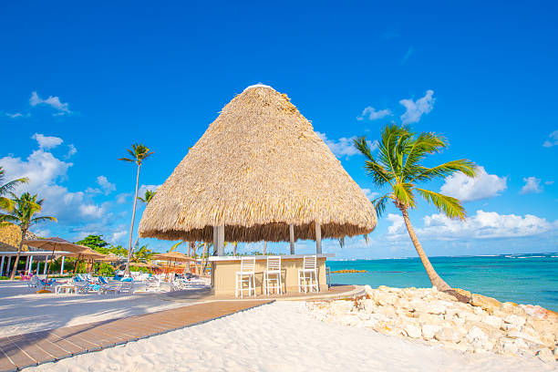 istock Punta Cana, Dominican Republic 2238975015