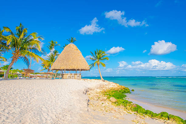 istock Punta Cana, Dominican Republic 2238975214