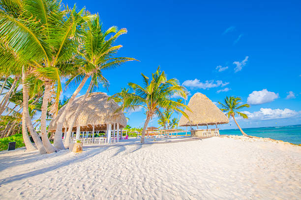 istock Punta Cana, Dominican Republic 2238975220