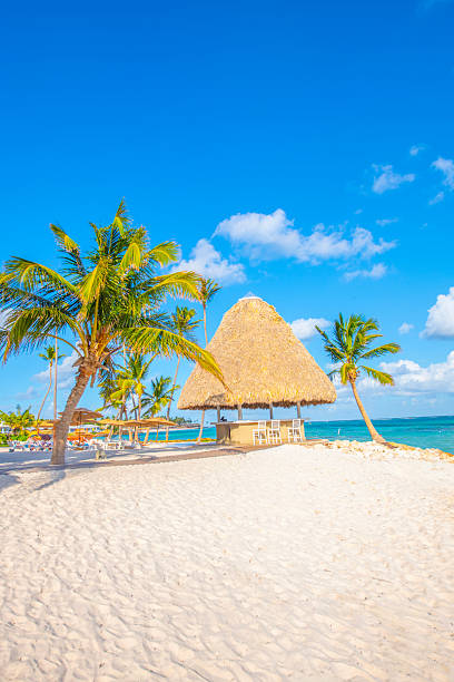 istock Punta Cana, Dominican Republic 2238975344