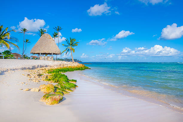 istock Punta Cana, Dominican Republic 2238975347