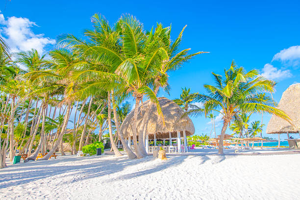 istock Punta Cana, Dominican Republic 2238975499