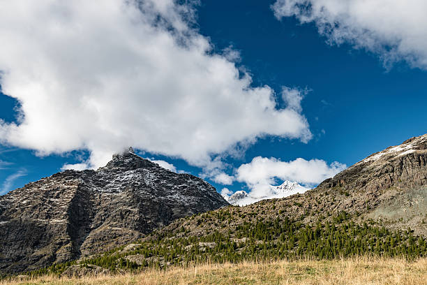 The summer season in the Central Alps
