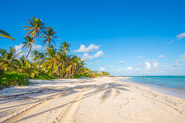 istock Punta Cana, Dominican Republic 2238976212