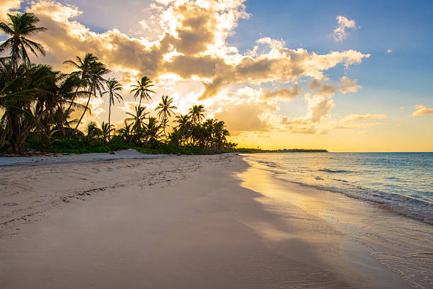 istock Punta Cana, Dominican Republic 2238976882