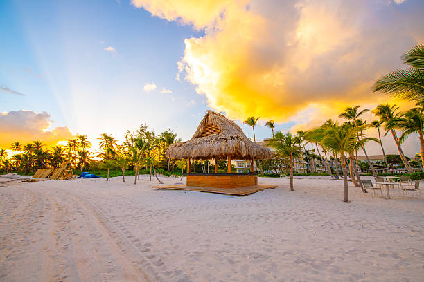istock Punta Cana, Dominican Republic 2238977149