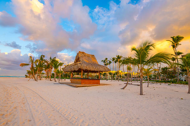 Playa Blanca, Punta Cana, Dominican Republic, Tropical Beach